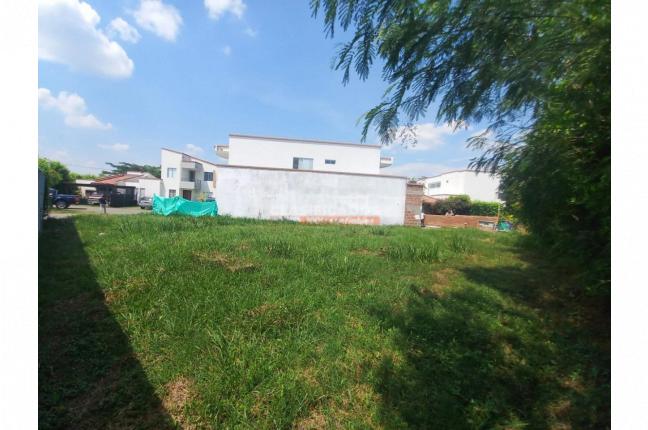 Lotes, Venta en Alfaguara