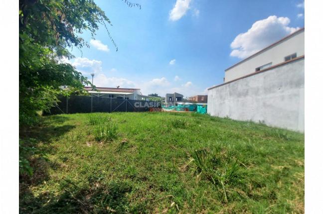 Lotes, Venta en Alfaguara