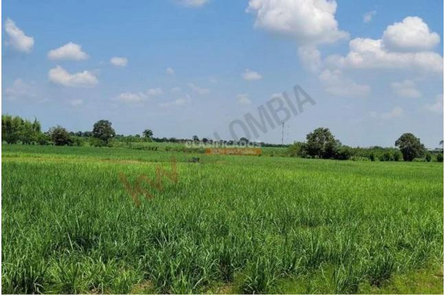 Lotes, Venta, Caloto - $1.800.000.000