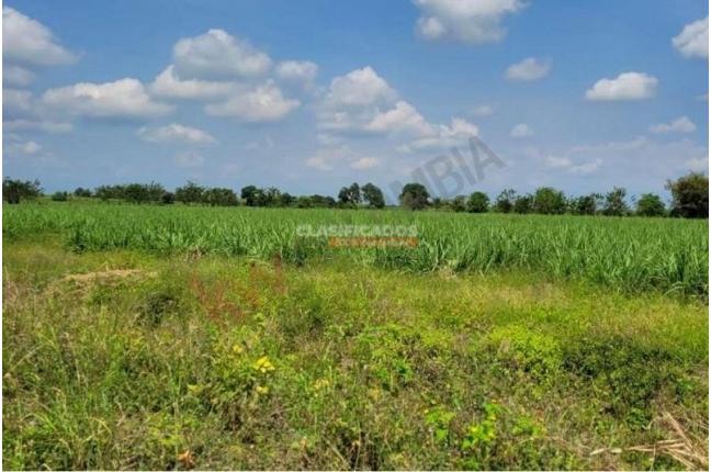 Lotes, Venta, Caloto - $1.800.000.000