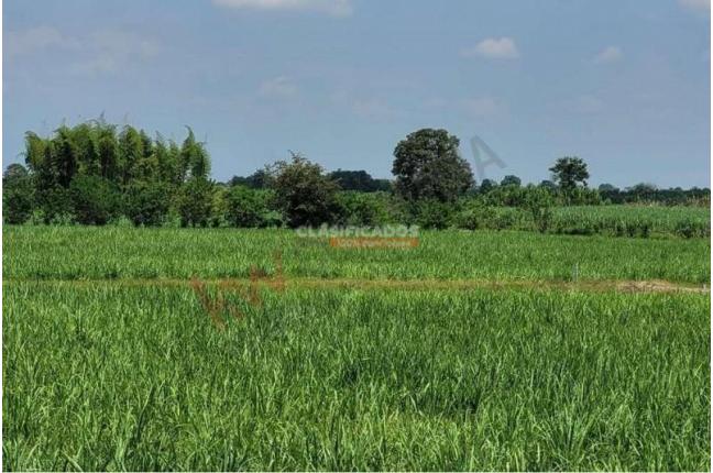 Lotes, Venta, Caloto - $1.800.000.000