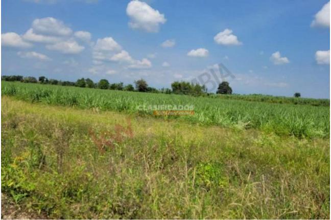 Lotes, Venta, Caloto - $1.800.000.000