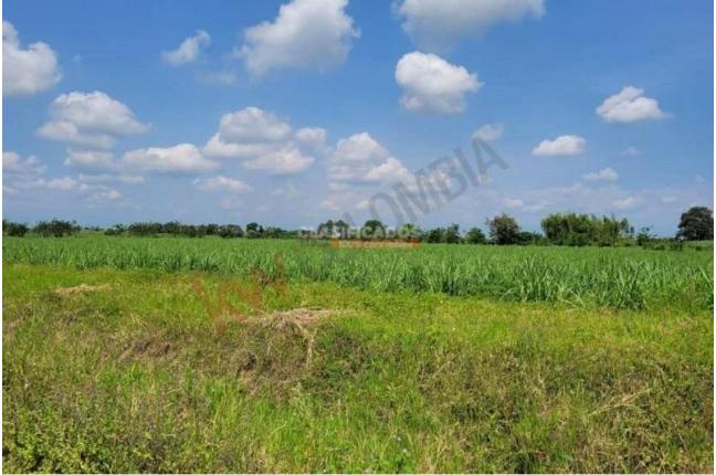 Lotes, Venta, Caloto - $1.800.000.000