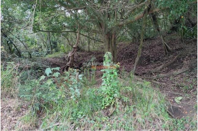 Lotes, Venta, Aguacatal - $180.000.000