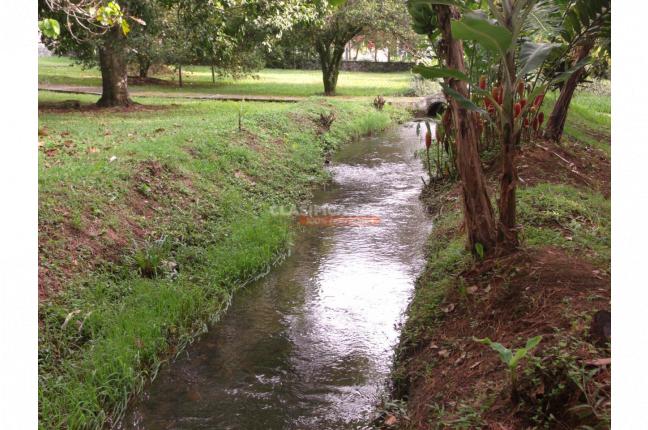 Lotes, Venta, Pance - $7.500.000.000