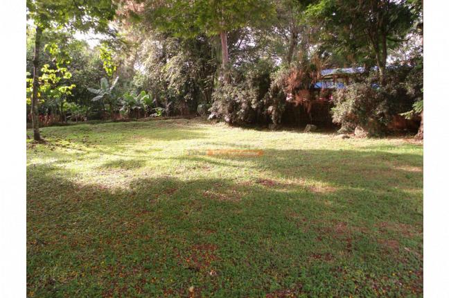 Lotes, Venta, Pance - $7.500.000.000