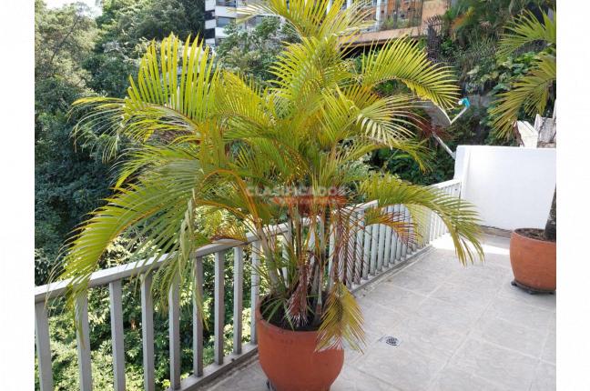 Apartamentos, Venta, El Peñón - $720.000.000