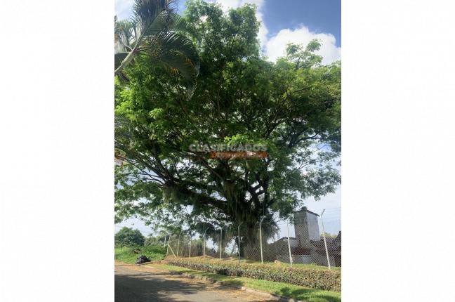 Casas, Venta, La Riverita - $2.500.000.000