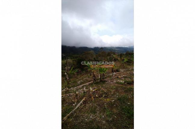 Lotes, Venta, Dagua - $170.000.000