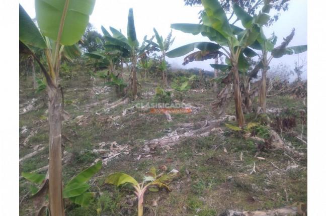 Lotes, Venta, Dagua - $180.000.000