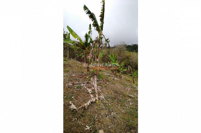 Lotes, Venta, Dagua - $180.000.000