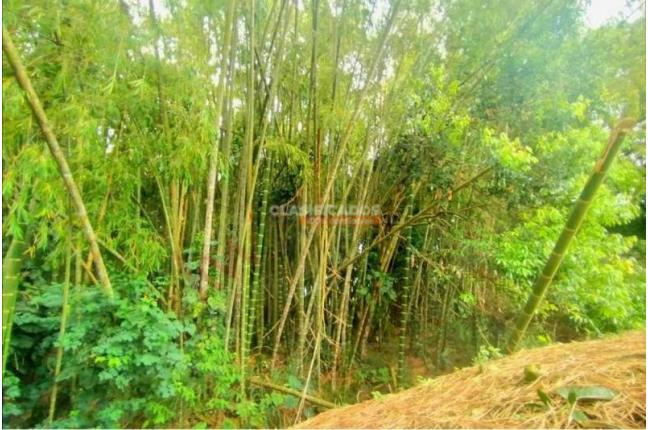 Lotes, Venta, Jamundí - $134.900.000