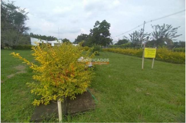 Lotes, Venta, Jamundí - $134.900.000