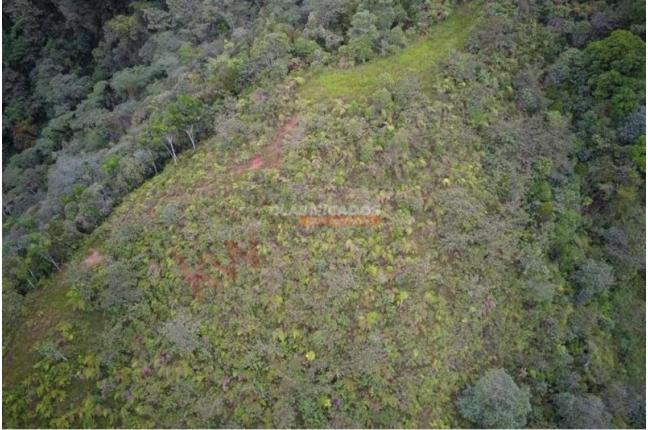 Lotes, Venta, Dagua - $500.000.000