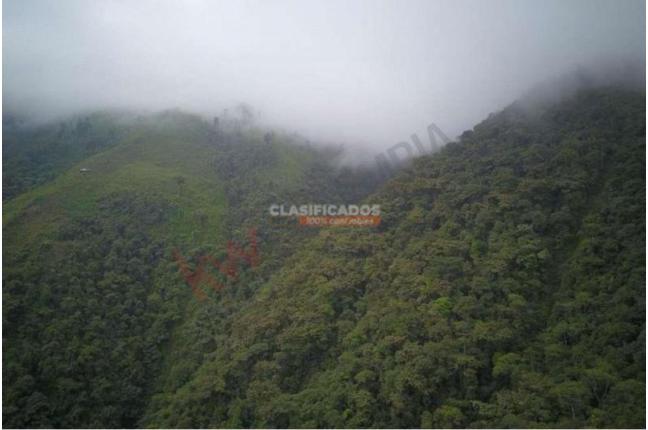 Lotes, Venta, Dagua - $500.000.000