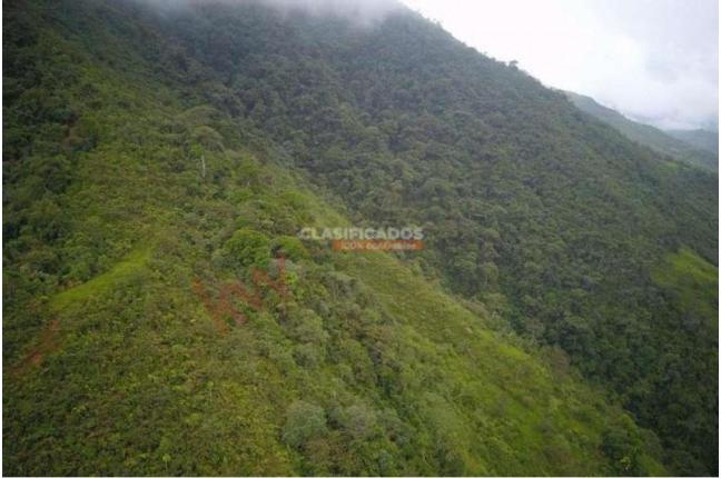 Lotes, Venta, Dagua - $500.000.000