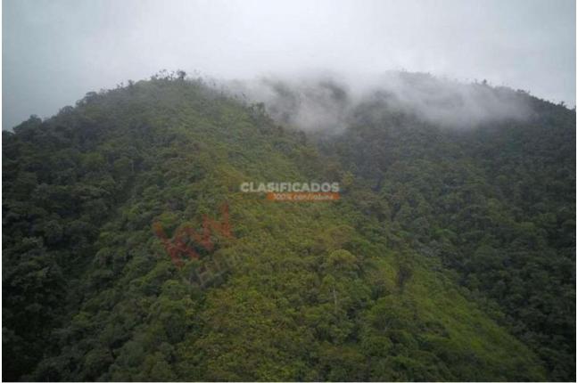 Lotes, Venta, Dagua - $500.000.000