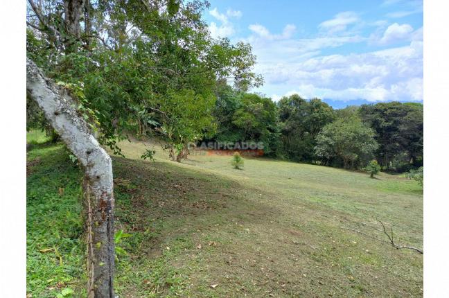 Lotes, Venta, Dagua - $280.000.000