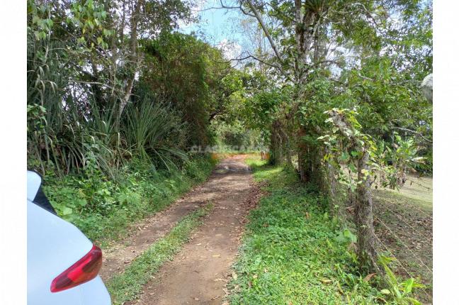 Lotes, Venta, Dagua - $280.000.000