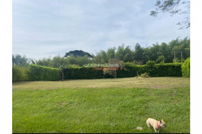 Lotes, Venta en Jamundí