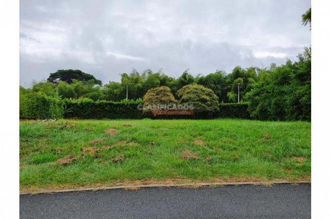 Lotes, Venta en Jamundí