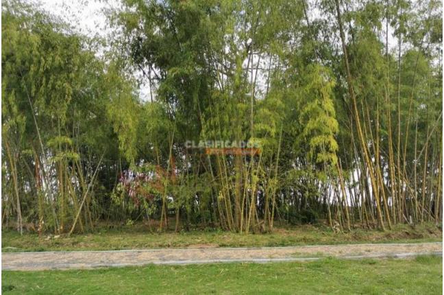 Lotes, Venta en Jamundí