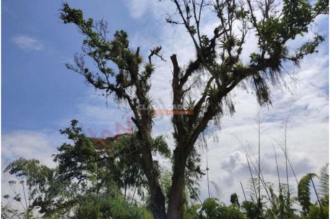 Casas, Venta, Jamundí - $100.000.000