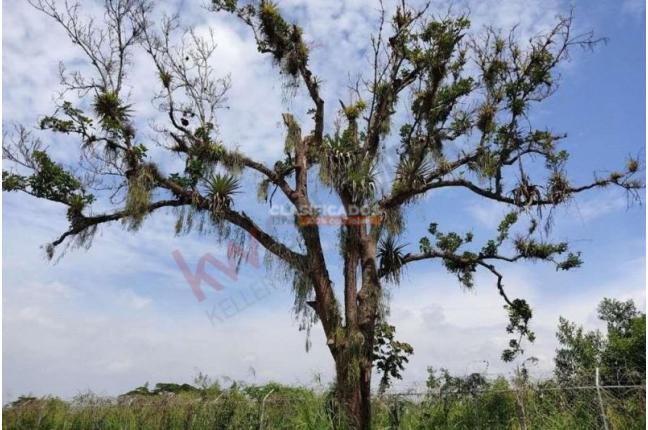 Casas, Venta, Jamundí - $100.000.000