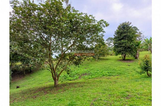 Lotes, Venta, Dagua - $280.000.000