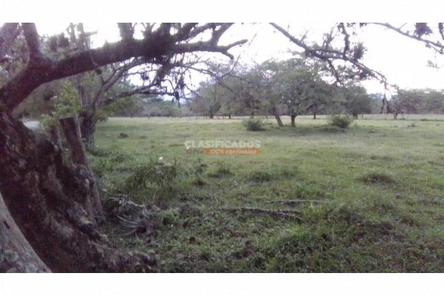 Lotes, Venta, Cañasgordas - $62.500.000.000