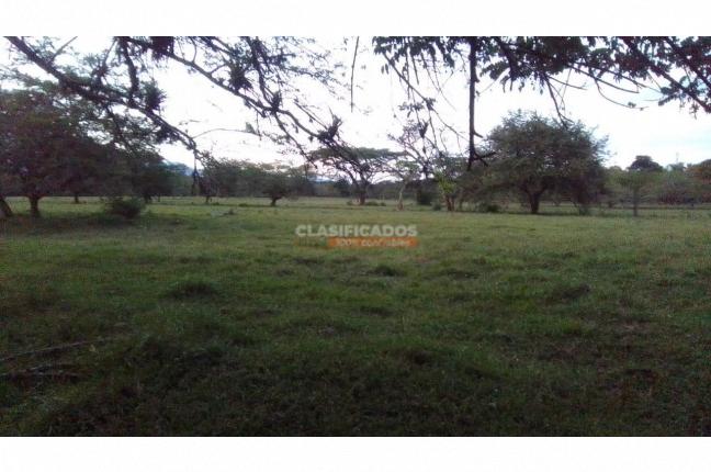 Lotes, Venta, Cañasgordas - $62.500.000.000