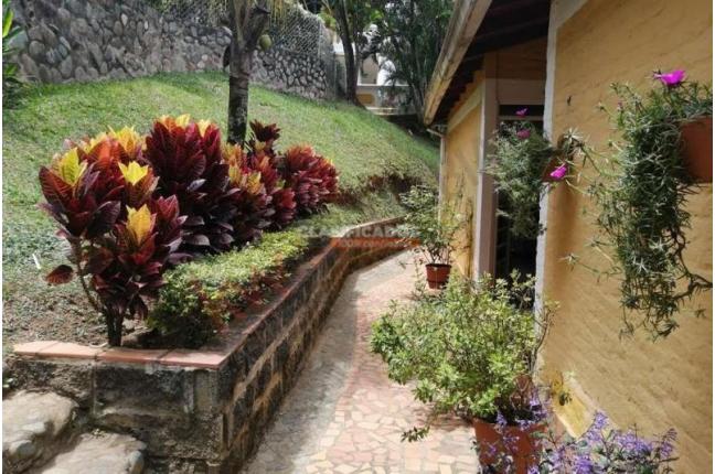 Fincas y Casas Campestres, Venta, La Buitrera - $480.000.000