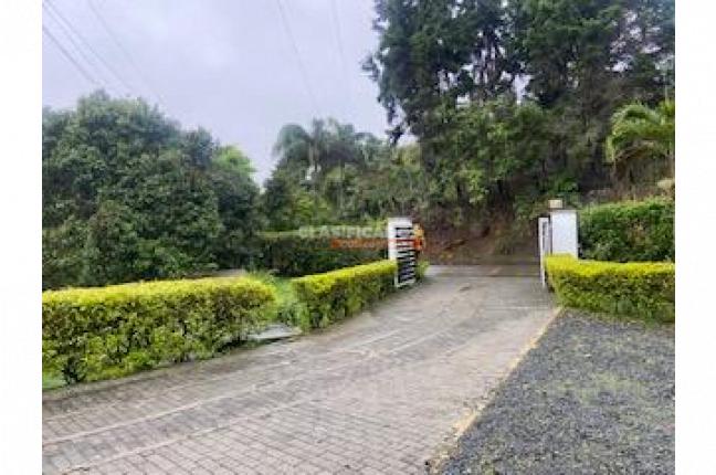 Casas, Alquiler en Dapa