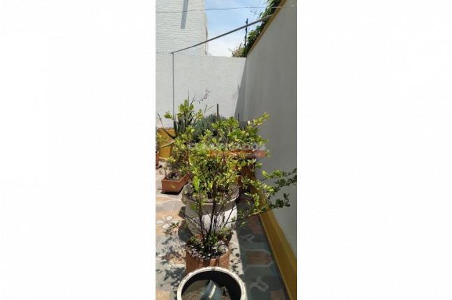 Casas, Venta, El Castillo - $465.000.000