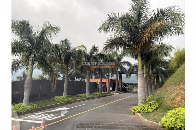 Lotes, Venta en Dapa