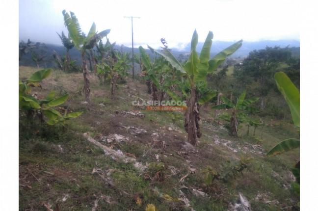 Lotes, Venta, Dagua - $130.000.000