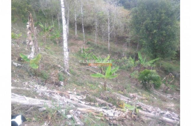 Lotes, Venta, Dagua - $130.000.000