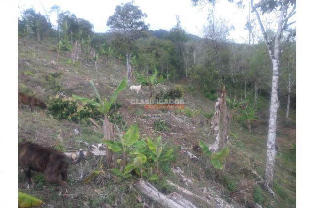 Lotes, Venta, Dagua - $130.000.000