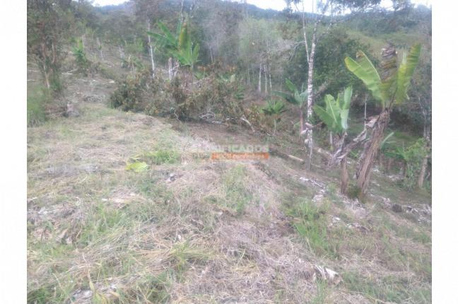 Lotes, Venta, Dagua - $130.000.000