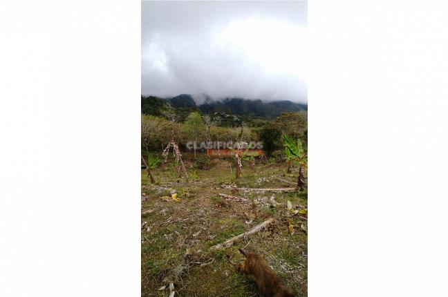 Lotes, Venta, Dagua - $130.000.000