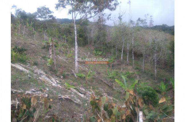 Lotes, Venta, Dagua - $130.000.000