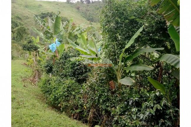 Lotes, Venta, Restrepo - $150.000.000