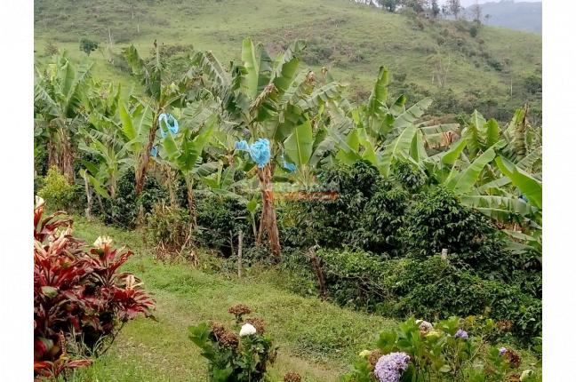 Lotes, Venta, Restrepo - $150.000.000