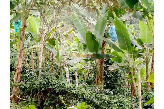 Lotes, Venta, Restrepo - $150.000.000