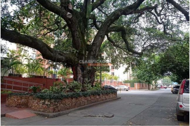 Apartamentos, Venta, Santa Anita - $260.000.000