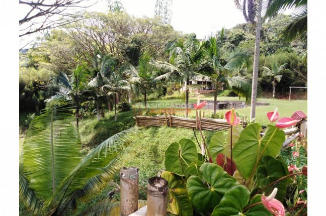 Fincas y Casas Campestres, Venta, Dagua - $650.000.000