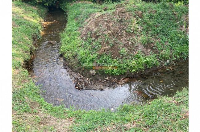 Lotes, Venta en La Riverita