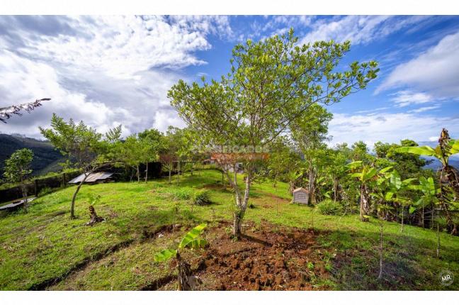 Fincas y Casas Campestres, Venta, Dagua - $350.000.000