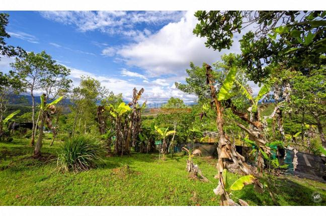 Fincas y Casas Campestres, Venta, Dagua - $350.000.000