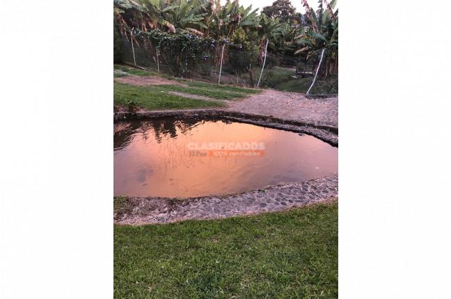 Fincas y Casas Campestres, Venta, Calima (Darién) - $1.200.000.000